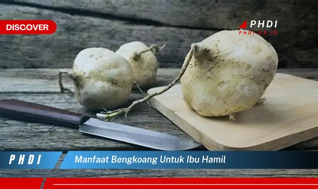 manfaat bengkoang untuk ibu hamil