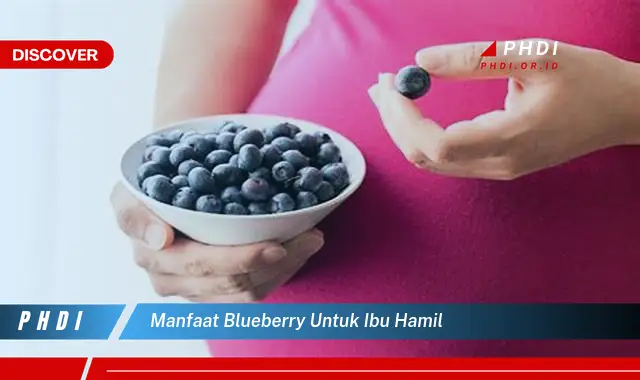 manfaat blueberry untuk ibu hamil