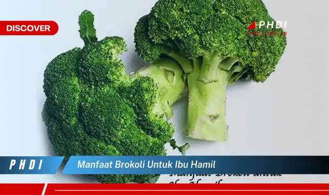 manfaat brokoli untuk ibu hamil