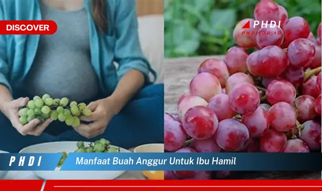 manfaat buah anggur untuk ibu hamil