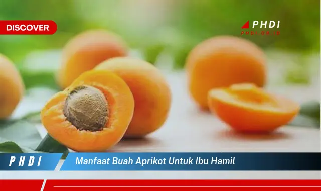 manfaat buah aprikot untuk ibu hamil