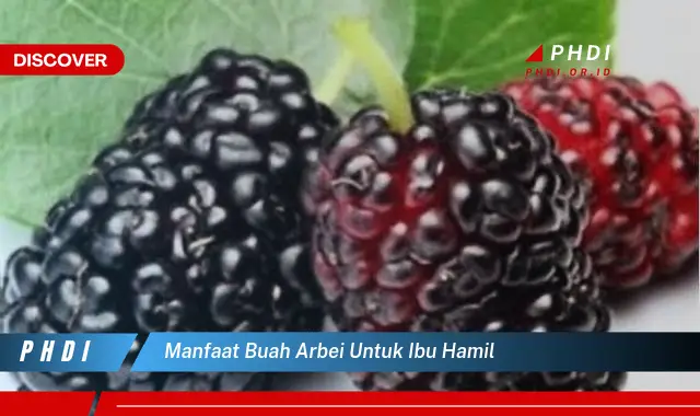 manfaat buah arbei untuk ibu hamil