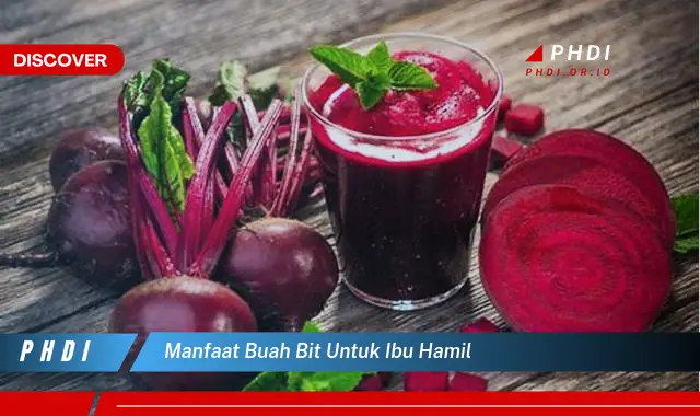 manfaat buah bit untuk ibu hamil