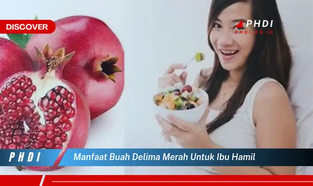 manfaat buah delima merah untuk ibu hamil