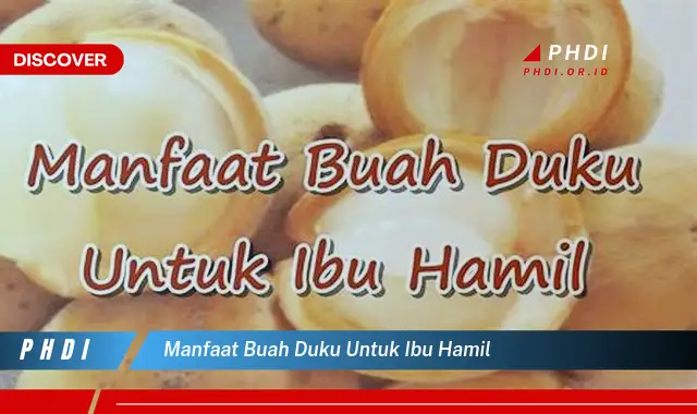 manfaat buah duku untuk ibu hamil