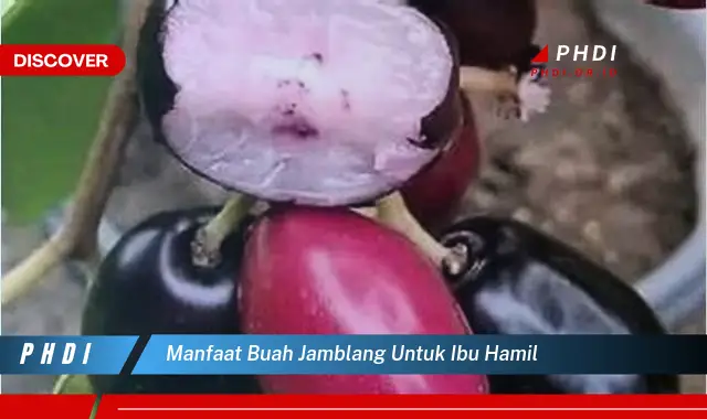 manfaat buah jamblang untuk ibu hamil