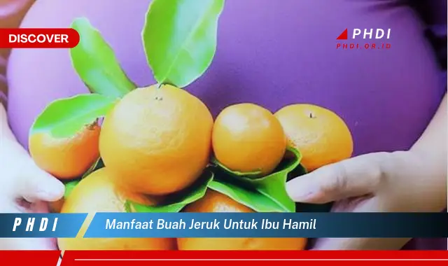 manfaat buah jeruk untuk ibu hamil