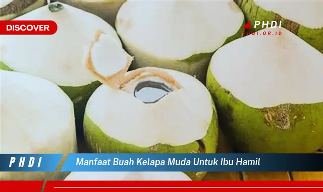 manfaat buah kelapa muda untuk ibu hamil