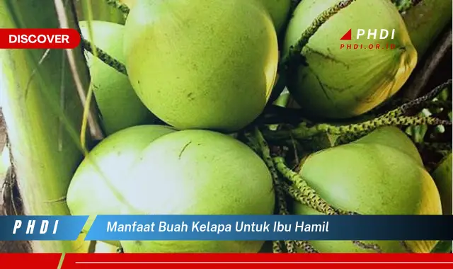 manfaat buah kelapa untuk ibu hamil