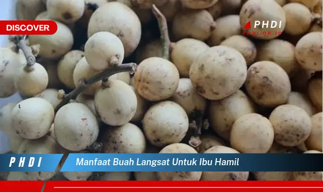 manfaat buah langsat untuk ibu hamil