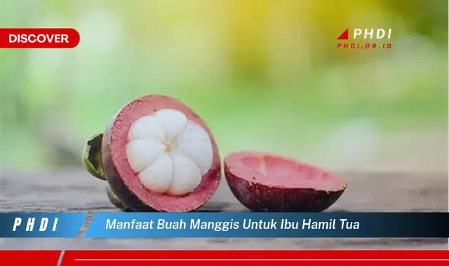 manfaat buah manggis untuk ibu hamil tua