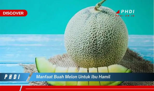 manfaat buah melon untuk ibu hamil