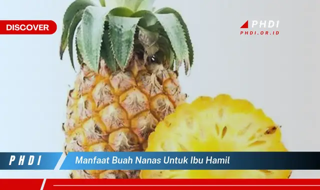 manfaat buah nanas untuk ibu hamil