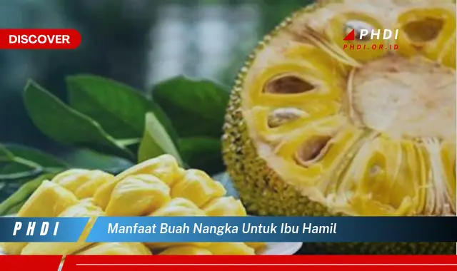 manfaat buah nangka untuk ibu hamil