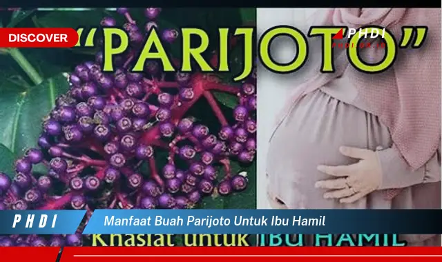 manfaat buah parijoto untuk ibu hamil