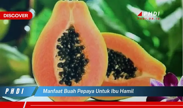 manfaat buah pepaya untuk ibu hamil