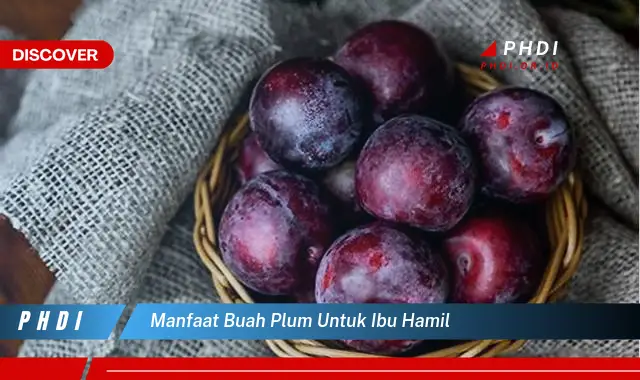 manfaat buah plum untuk ibu hamil