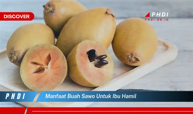 manfaat buah sawo untuk ibu hamil