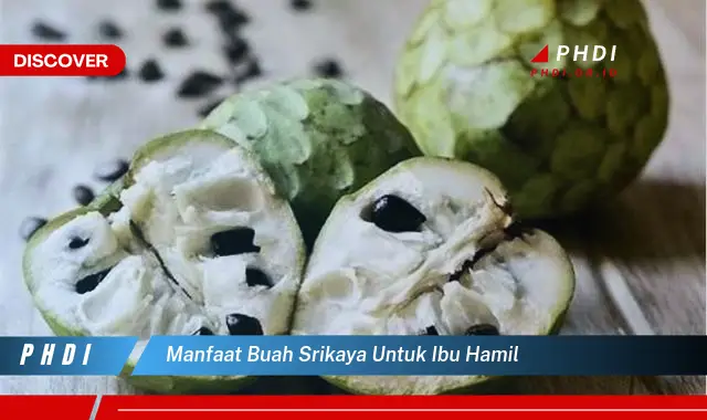 manfaat buah srikaya untuk ibu hamil