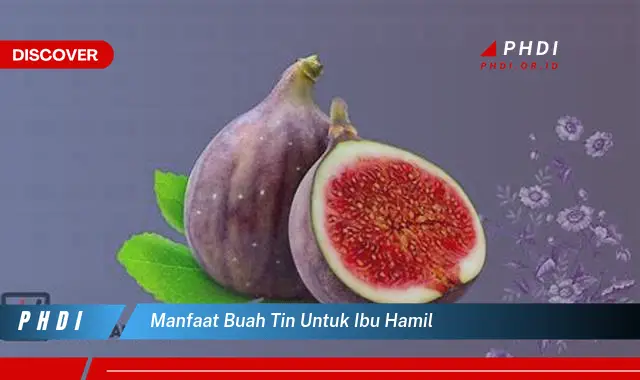 manfaat buah tin untuk ibu hamil