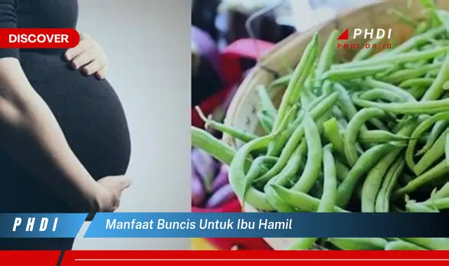 manfaat buncis untuk ibu hamil