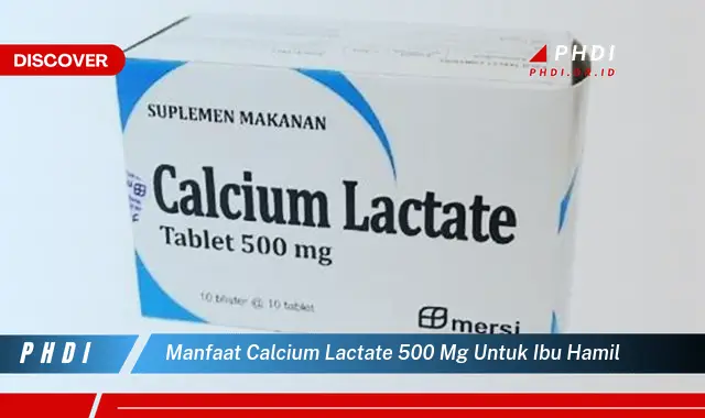 manfaat calcium lactate 500 mg untuk ibu hamil