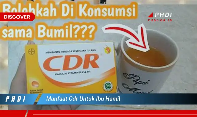 manfaat cdr untuk ibu hamil