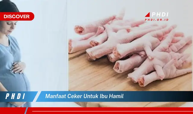 manfaat ceker untuk ibu hamil