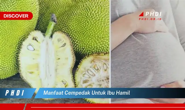 manfaat cempedak untuk ibu hamil