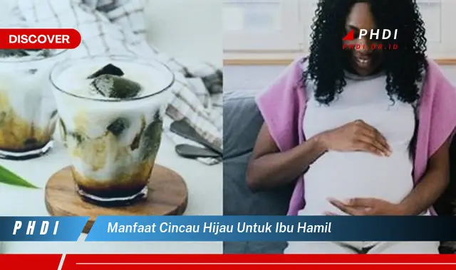 manfaat cincau hijau untuk ibu hamil