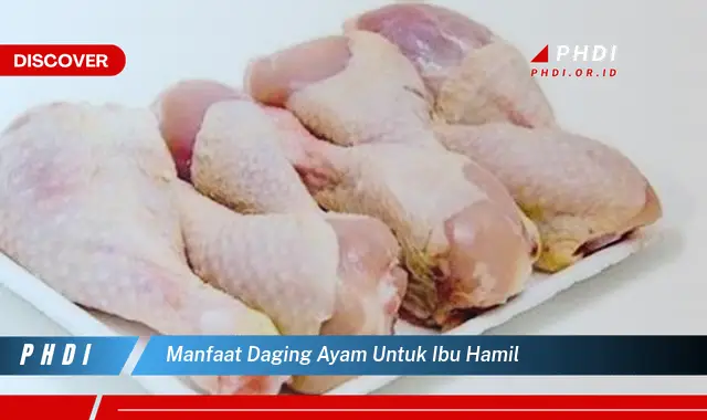 manfaat daging ayam untuk ibu hamil