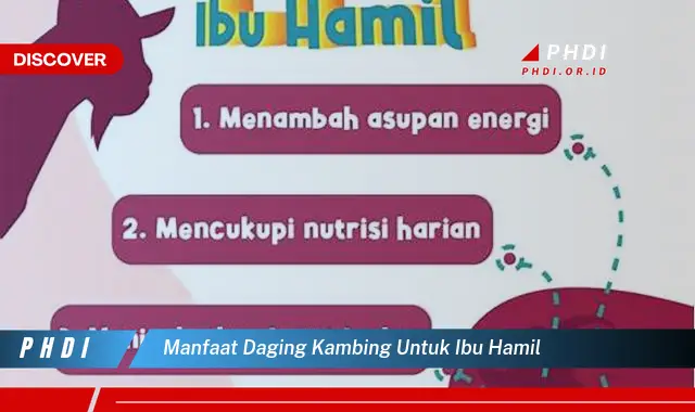 manfaat daging kambing untuk ibu hamil