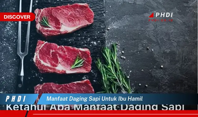 manfaat daging sapi untuk ibu hamil