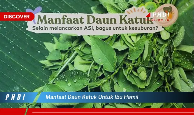 manfaat daun katuk untuk ibu hamil