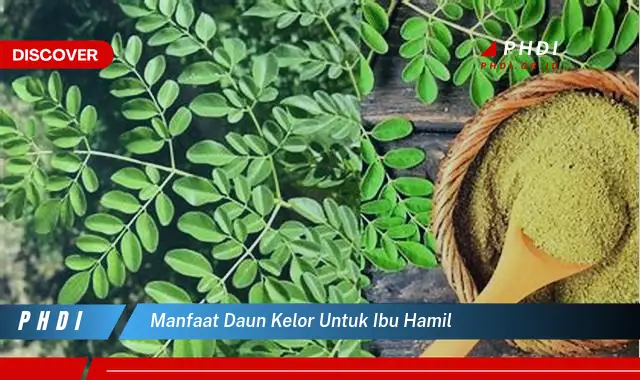 manfaat daun kelor untuk ibu hamil