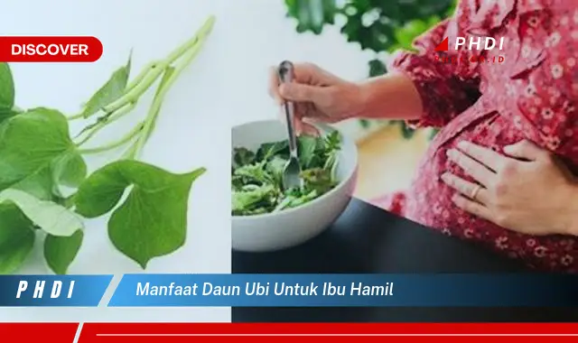 manfaat daun ubi untuk ibu hamil