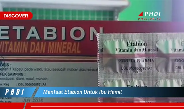 manfaat etabion untuk ibu hamil