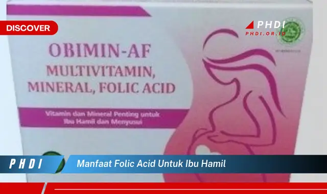 manfaat folic acid untuk ibu hamil