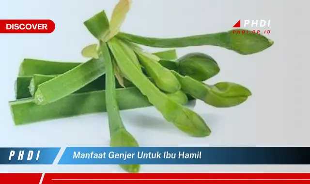 manfaat genjer untuk ibu hamil