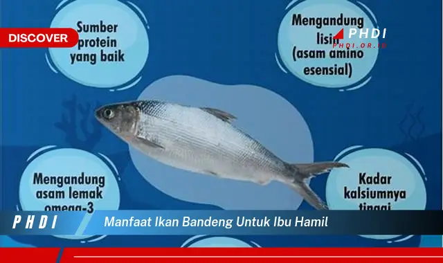 manfaat ikan bandeng untuk ibu hamil