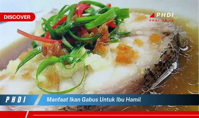 manfaat ikan gabus untuk ibu hamil