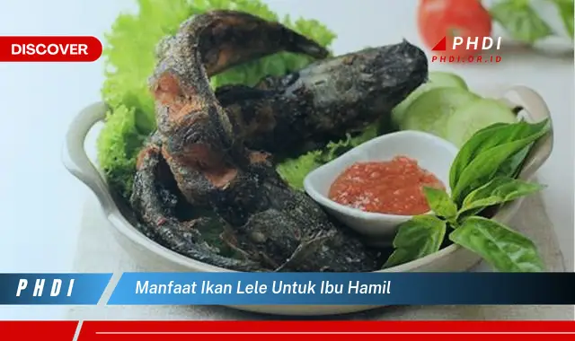 manfaat ikan lele untuk ibu hamil