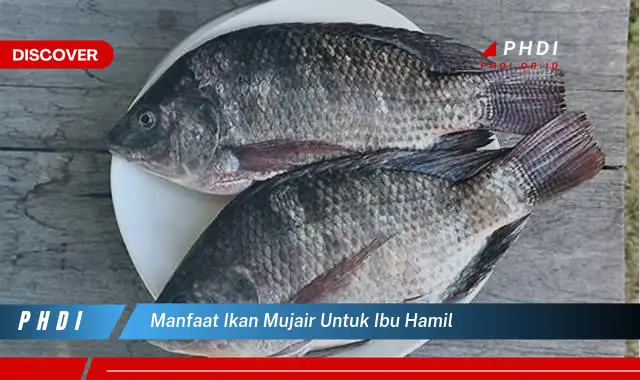 manfaat ikan mujair untuk ibu hamil