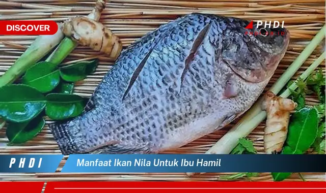 manfaat ikan nila untuk ibu hamil