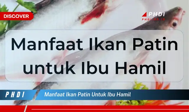 manfaat ikan patin untuk ibu hamil