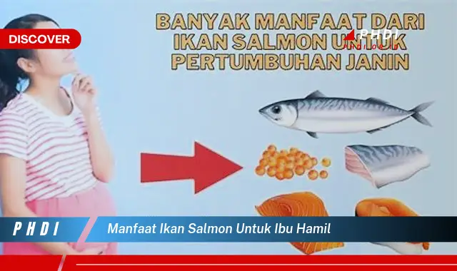 manfaat ikan salmon untuk ibu hamil