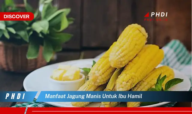 manfaat jagung manis untuk ibu hamil