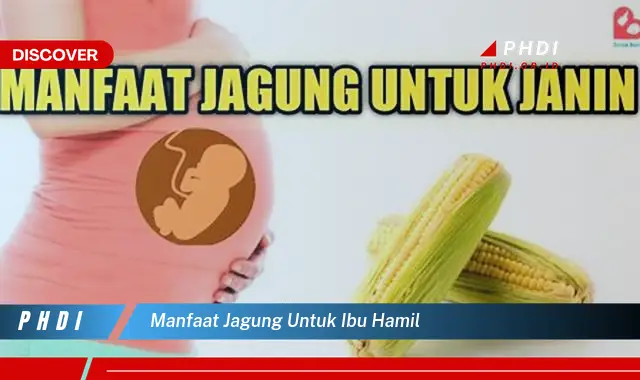 manfaat jagung untuk ibu hamil