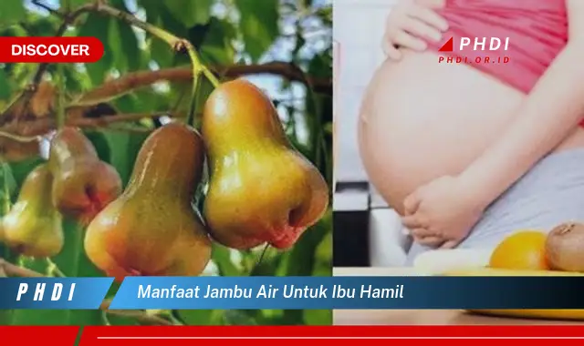 manfaat jambu air untuk ibu hamil