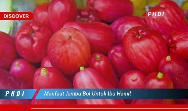 manfaat jambu bol untuk ibu hamil